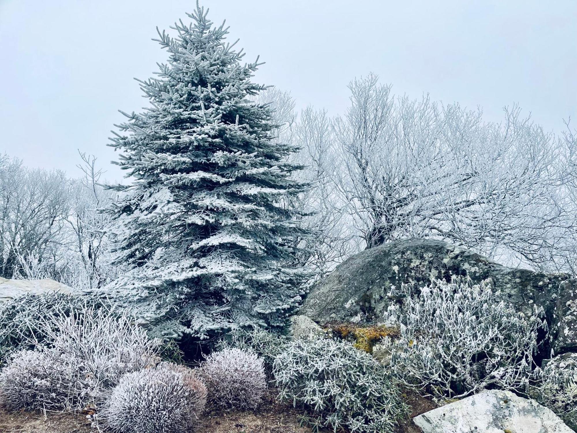 Bucket List Views Sugar Mountain Private Condo - 2Bed, 2Bath, Sleeps 6, Panoramic Views Of Mountains From Large Deck, Short Drive To Shopping, Restaurants, Cafes & Banner Elk Town Екстериор снимка